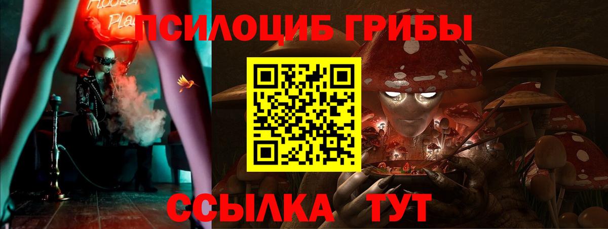 Псилоцибиновые грибы MAGIC MUSHROOMS  Вход с VPN  Артёмовский 